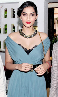 Sonam kapur Fashion Image12