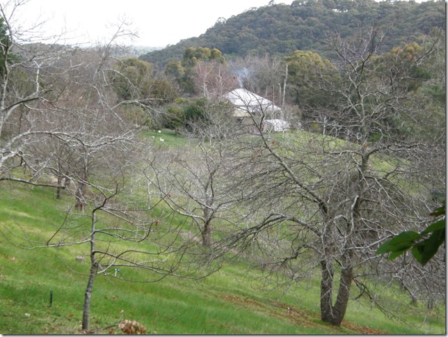 Nirvana Farm Heathfield         