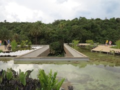 IMG_5949
