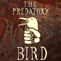 the predatory bird ©