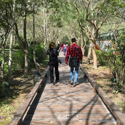 nature trail near visitor center at Taroko Gorge National Park in Hualien, Taiwan