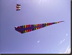 Kite Festival 2014 008