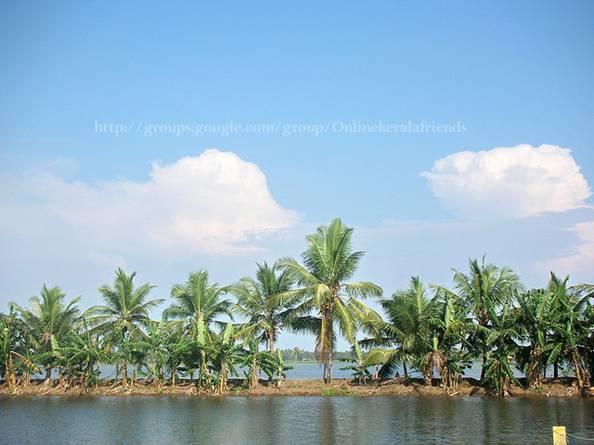 Beautiful Pictures of Kerala 5