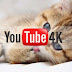 How to watch 4K Videos on YouTube