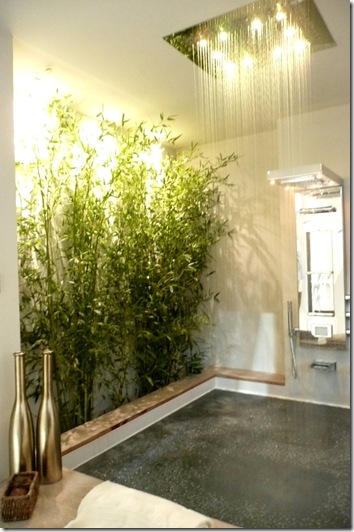 I Saloni 2010 279
