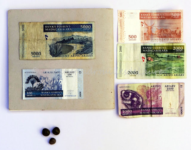 carnet-de-voyage-Madagascar-monnaie-carnetsetvadrouillesdelaure