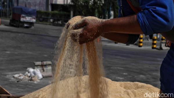Impor Gula Konsumsi 200.000 Ton Jadi Nggak Sih?