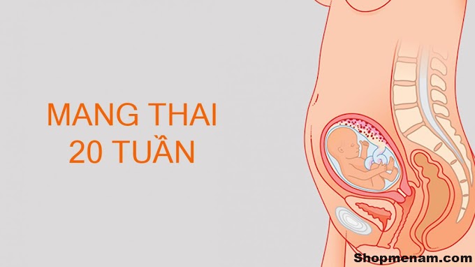 Bầu 20 tuần và những thói quen gây hại cho thai nhi