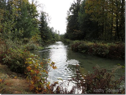 Spawning creek