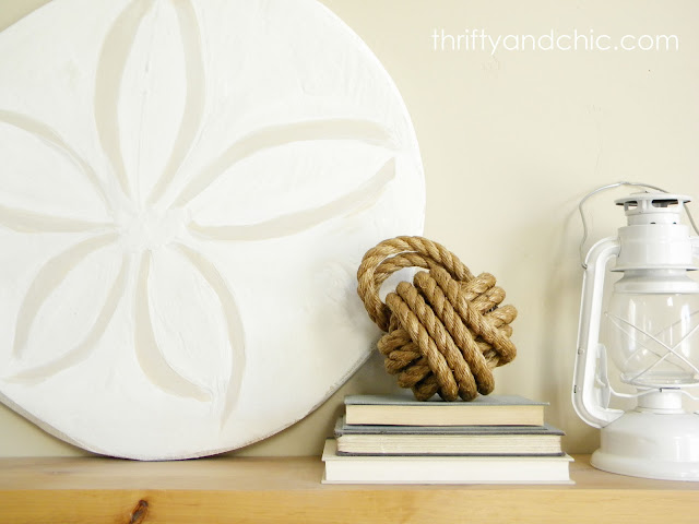 white sand dollar