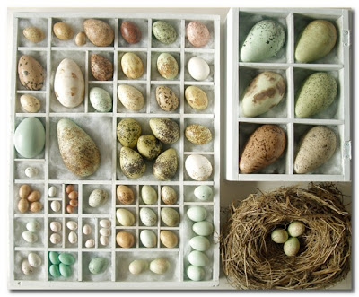 designers block handmade bird eggs birds eggs 400x331