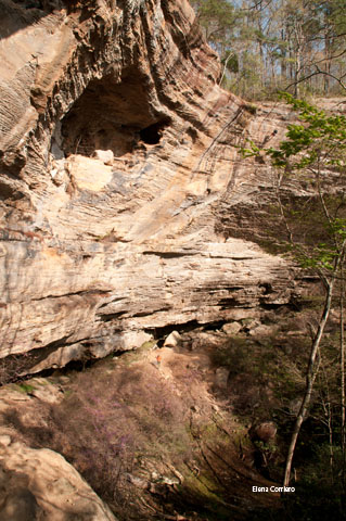 RRG-48-2012-04-2-17-17.jpg