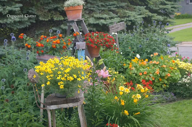 The Front Yard Flower Border 2012-2020