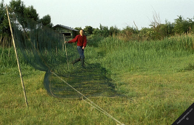 Catching Birds With Nets