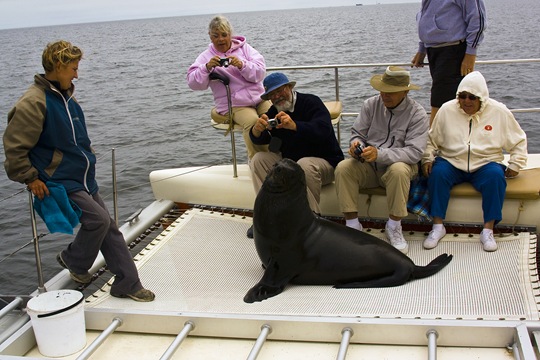 Walvis Bay 04