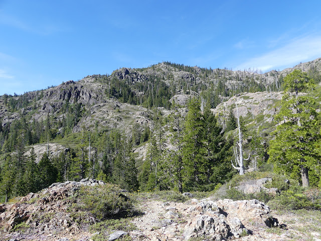 rock lumps and pockets of trees