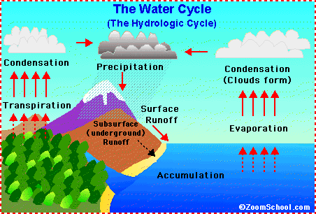 The+water+cycle+diagram+with+labels+for+kids Includes photos, activity