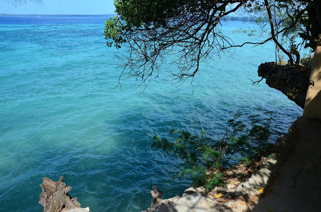 Zanzibar - Prison Island