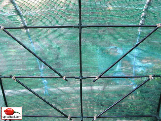 Walk-In Plastic Greenhouse Reinforcements - 10th May 2020