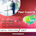 Choose the Best Pest Control Services In Surat