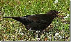 IMG_3857