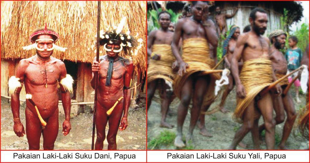 Pakaian Adat Papua Lengkap Gambar dan Penjelasanya Seni 