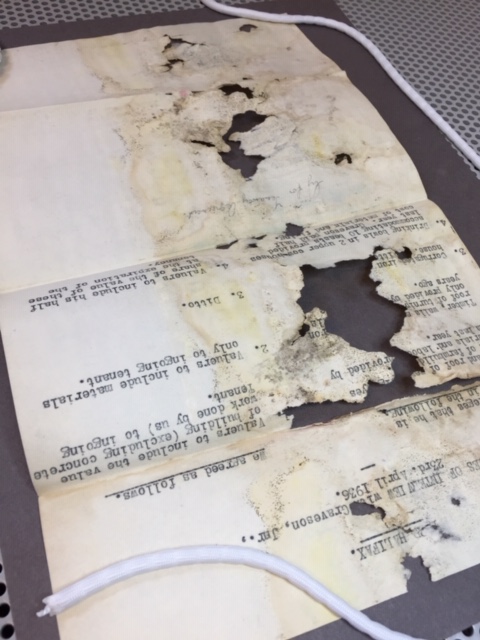 A fragile mouldy document with large losses, opened out to be cleaned.