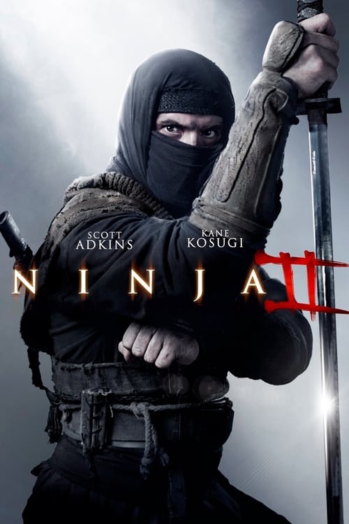 Ver Ninja 2: La venganza del guerrero 2013 Pelicula Completa En Español Latino