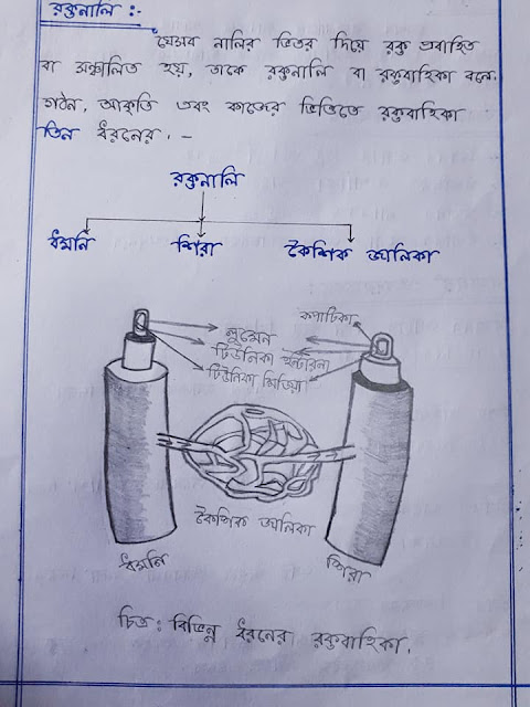 ৯ম ও ১০ম শ্রেণির জীব বিজ্ঞানের ৬ অধ্যায়ের হ্যান্ড নোট