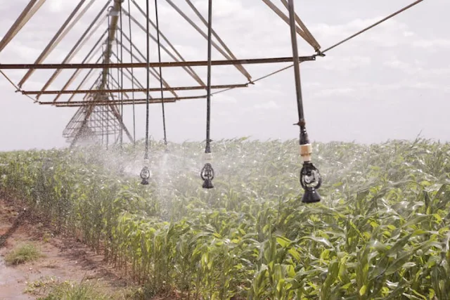 Karanja Kibicho at Galana Kulalu irrigation project photos and speech