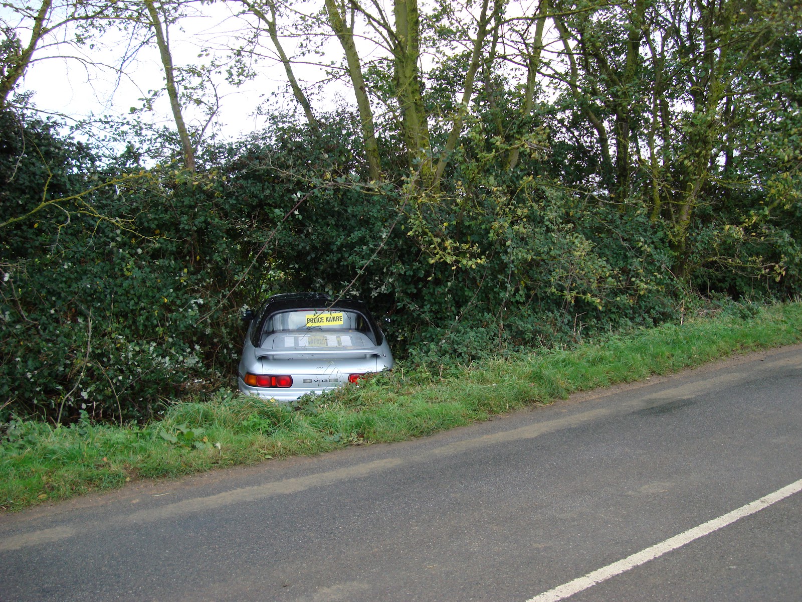 DSC05131.JPG