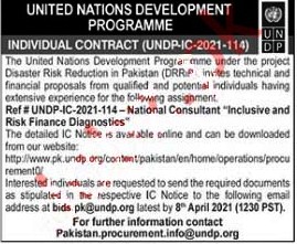 Latest Jobs in  United Nations Development Program UNDP