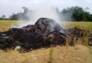 Belajar Memanfaatkan Limbah Pertanian