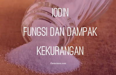 Iodin: Fungsi dan Dampak Kekurangan