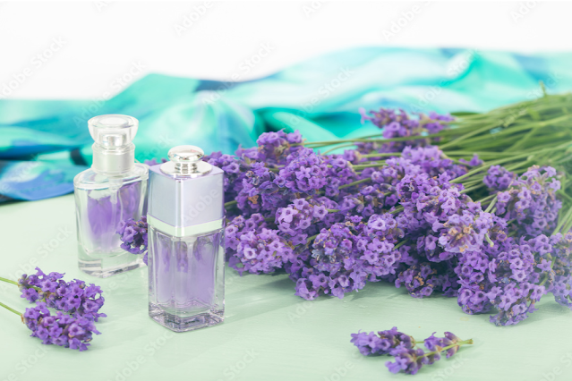 Lavender Oil : Benefits ,Side Effects ,Uses & Types