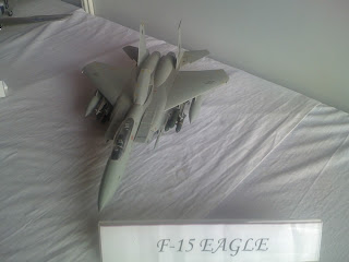 Indian Eagle plane model