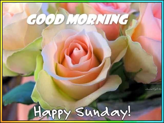 happy sunday blessing images
