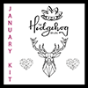 The hedgehog hollow - JANUARY 2019 BOX