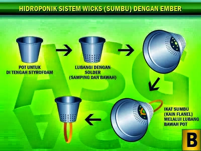 Permadi Bayu Aji Hidroponik Cabai Sistem Wick dan Deep Permadi Bayu Aji Hidroponik Cabai Sistem Wick dan Deep