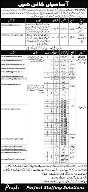 Punjab Polio Worker Jobs 2021