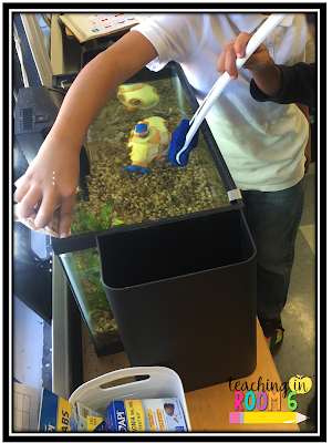 A classroom fish tank is a great way to teach responsibility as well as get some science standards in