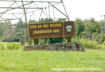 Boyd Big Tree Preserve Conservation Area in Dauphin County Pennsylvania