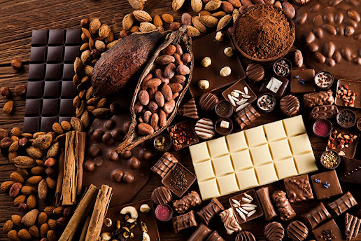 Feasibility study of a chocolate production project;
