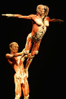 Body-Worlds-3