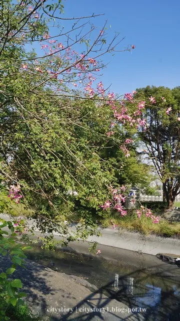 彰化北斗心動廣場