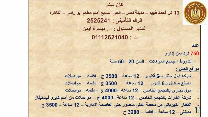 وزارة القوى العاملة تعلن عن  3717 فرصة عمل جديدة في 13 محافظة لمختلف التخصصات