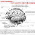 Conseguimos descobrir o que se passa no cerebro de quem trabalha com o CADASTRO ÚNICO 7 & BOLSA FAMÍLIA