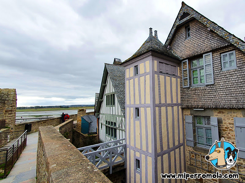 Mont Saint-Michel con Perros - 19 Casas Entramadas