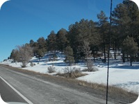 DSCN0444
