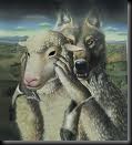Wolf in Sheep